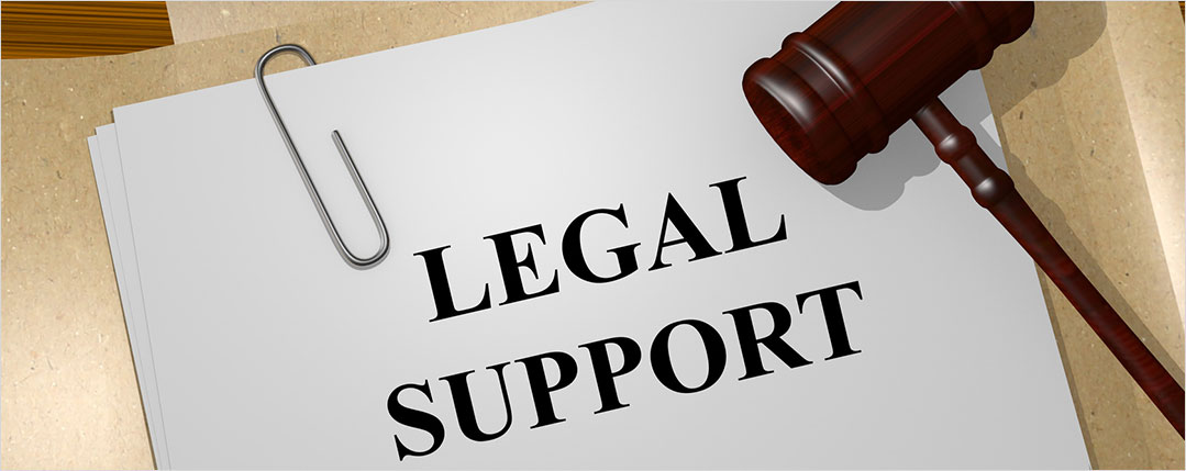 litigation support